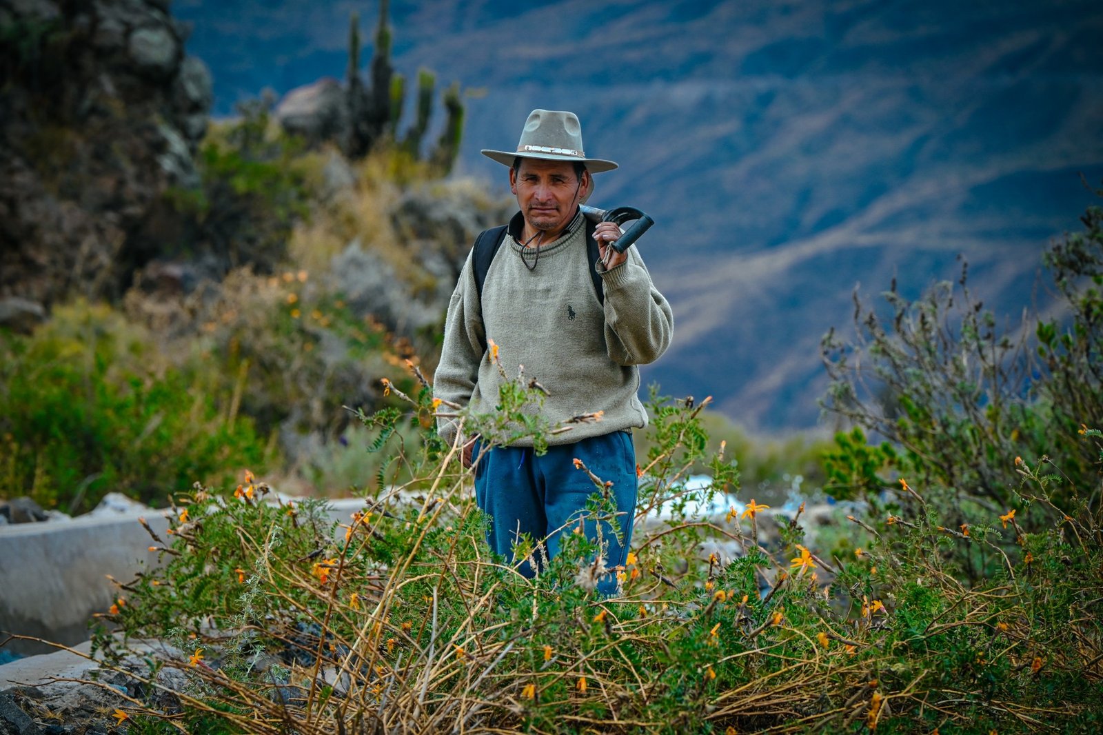 Don Faustino, agricultor de cítricos y palta
