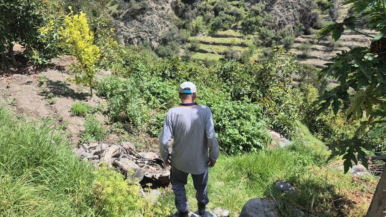 Agricultor contemplando su chacra en la ladera