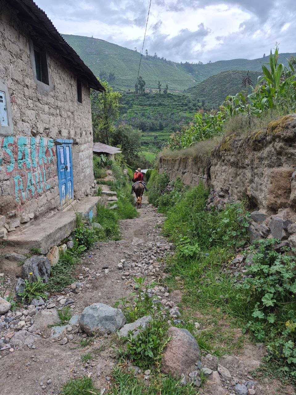Camino rural de un pueblo andino