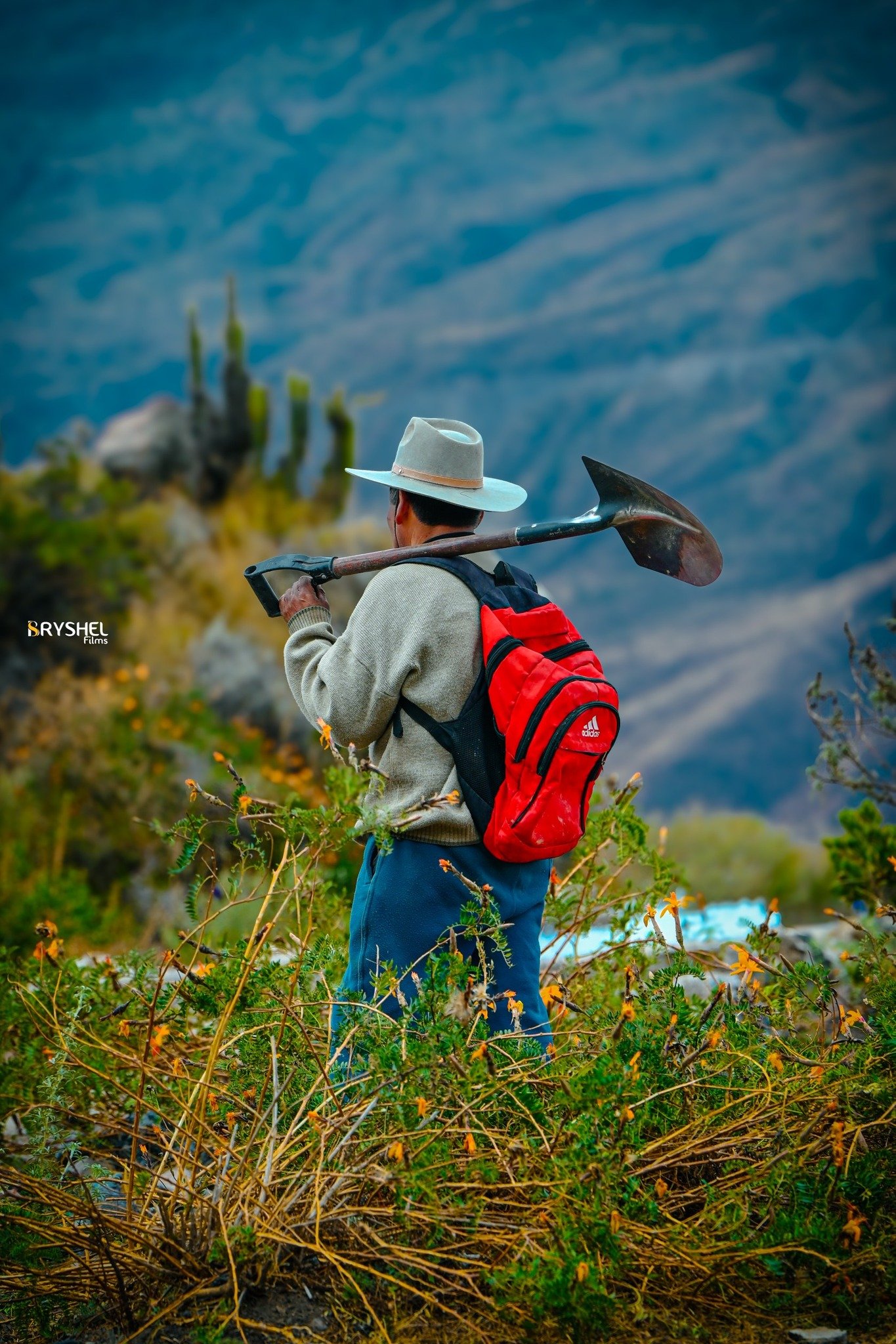 Agricultor con pala al hombro frente a las montañas del valle