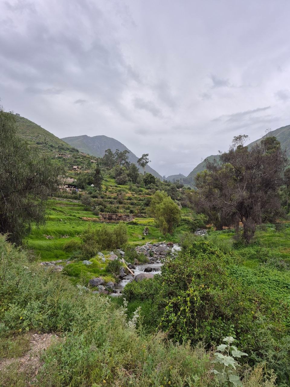Valle verde andino con río